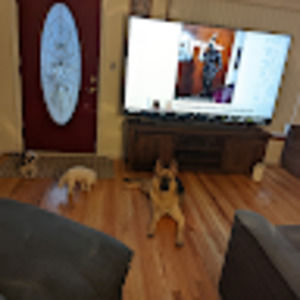 Meet your Posher, Tarran